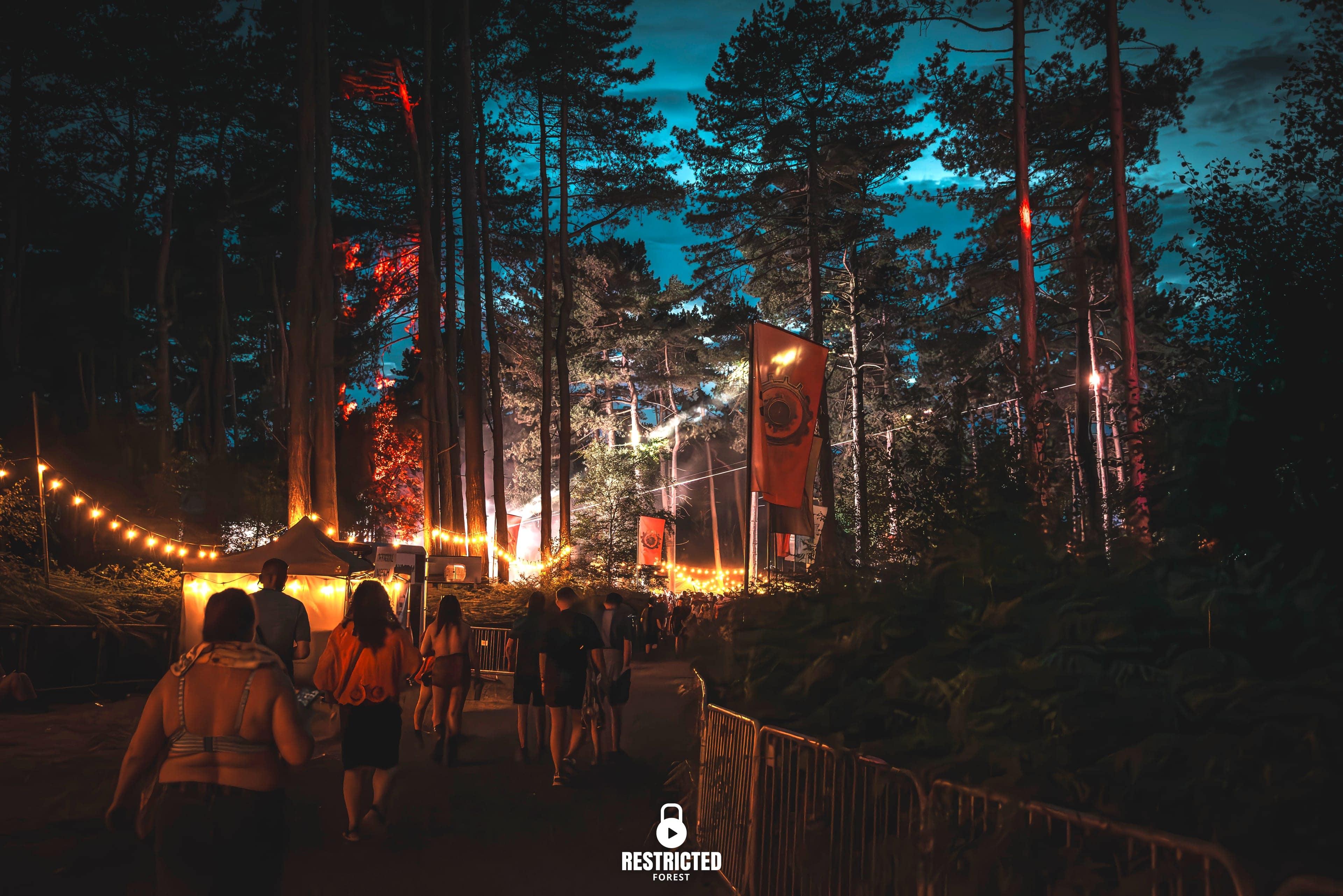 Festoon lighting strung above a path through the pines at dusk